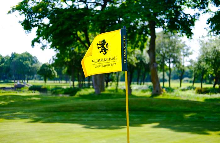 Detail of golf course flag