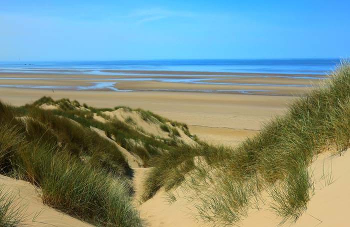 Beach and sand dunes